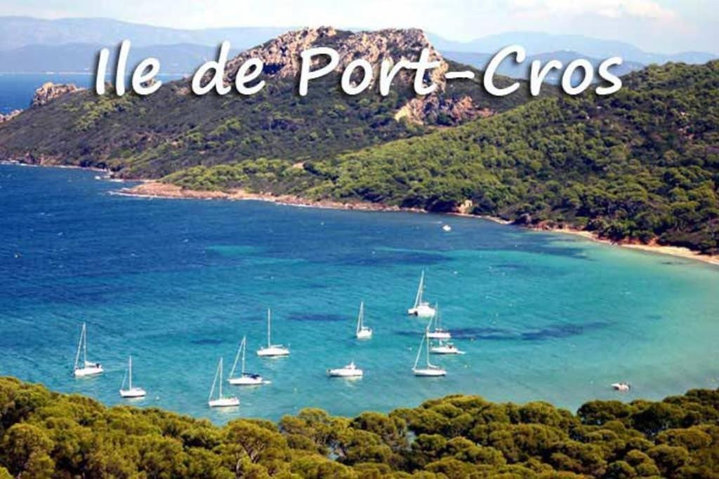 Studio Port De Hyeres Proche Des Plages Dış mekan fotoğraf